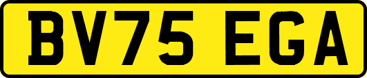 BV75EGA