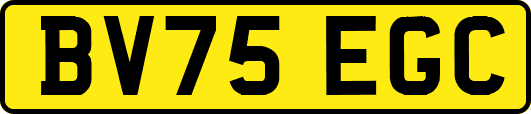 BV75EGC