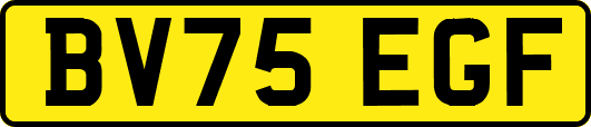 BV75EGF