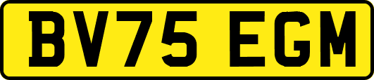BV75EGM
