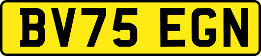 BV75EGN