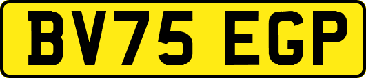 BV75EGP