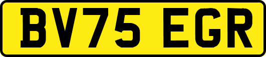 BV75EGR