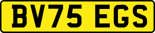 BV75EGS