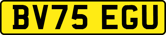 BV75EGU
