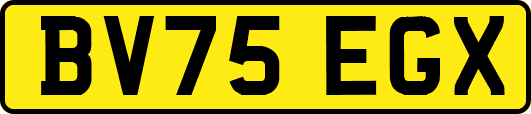 BV75EGX
