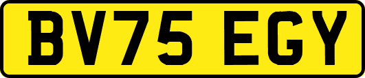 BV75EGY