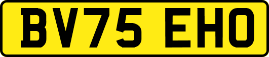 BV75EHO