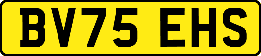 BV75EHS