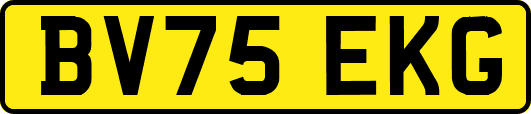 BV75EKG