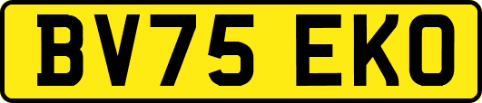 BV75EKO