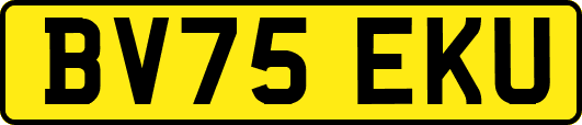 BV75EKU