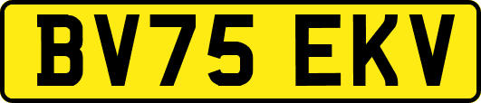 BV75EKV