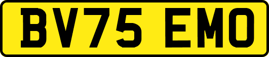 BV75EMO
