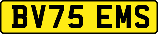 BV75EMS