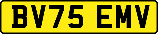 BV75EMV