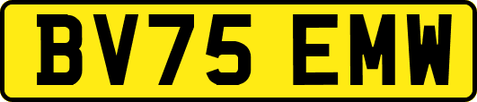 BV75EMW