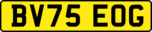 BV75EOG