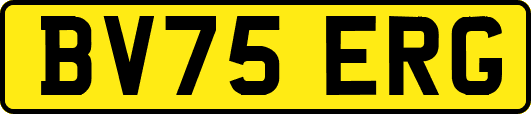 BV75ERG