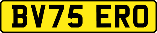 BV75ERO