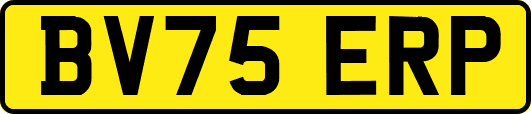 BV75ERP