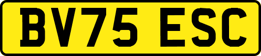 BV75ESC