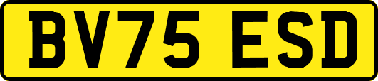 BV75ESD