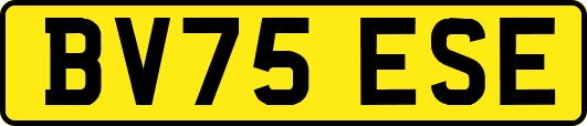 BV75ESE
