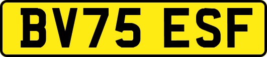 BV75ESF