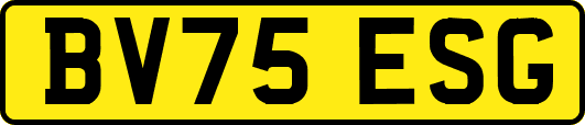 BV75ESG