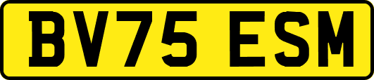 BV75ESM