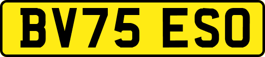 BV75ESO