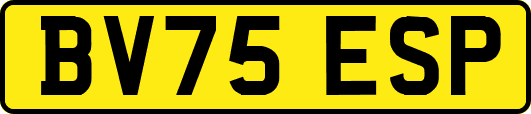 BV75ESP