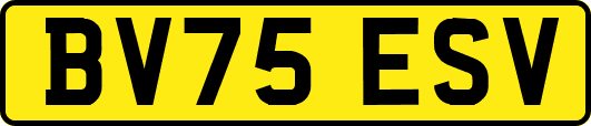 BV75ESV