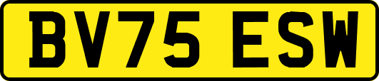 BV75ESW