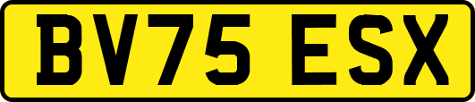 BV75ESX