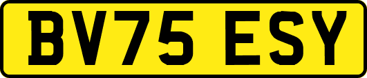 BV75ESY