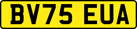 BV75EUA