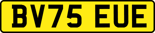 BV75EUE