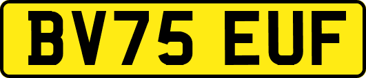 BV75EUF
