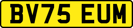 BV75EUM