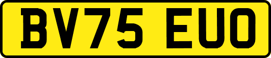 BV75EUO