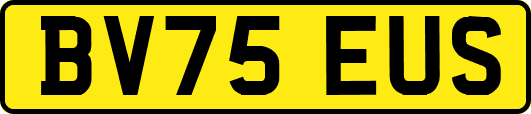 BV75EUS
