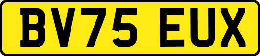 BV75EUX
