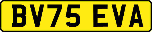 BV75EVA