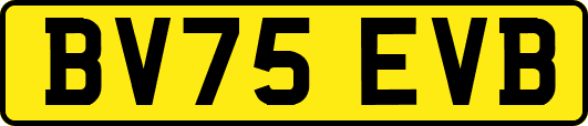 BV75EVB