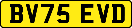 BV75EVD