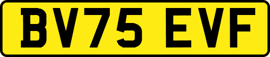 BV75EVF