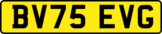 BV75EVG