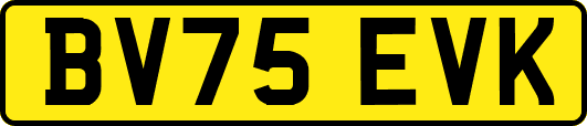 BV75EVK